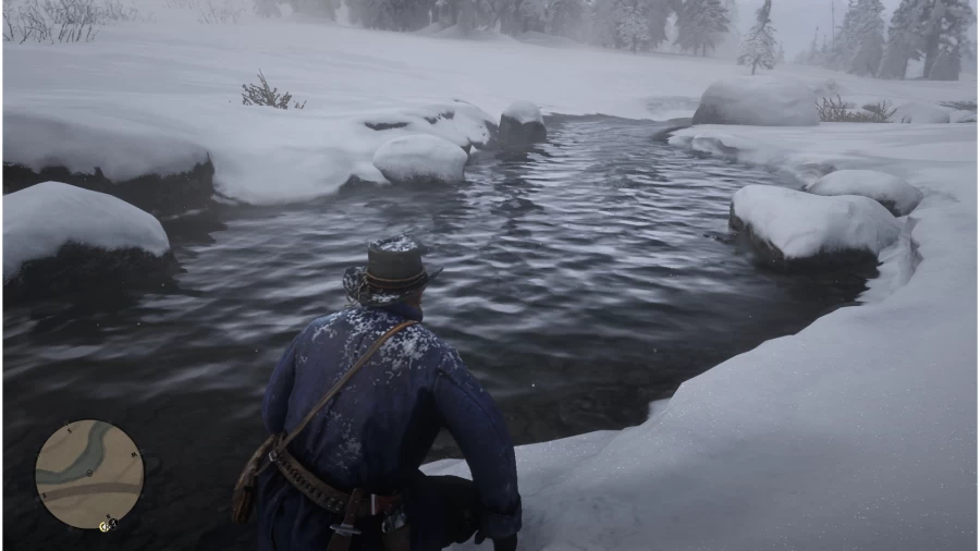 Red Dead Redemption Custom Water High