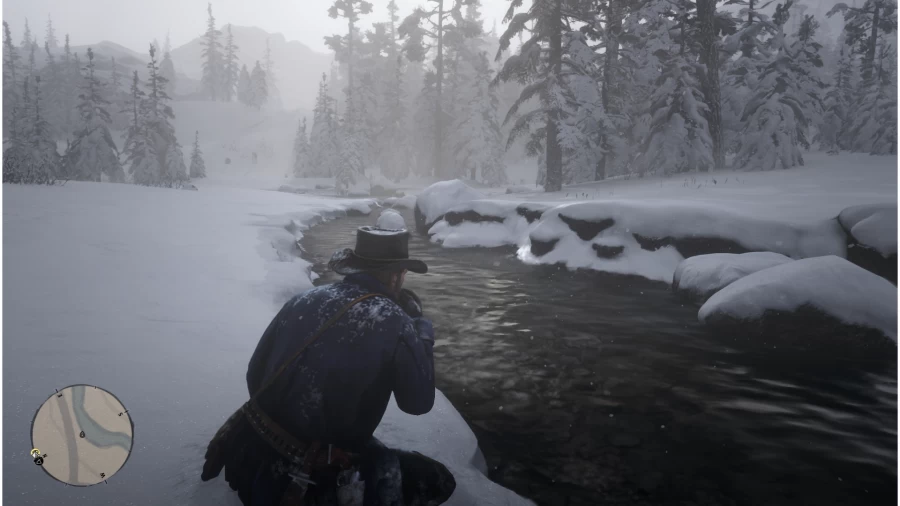 Red Dead Redemption II Water Quality Low